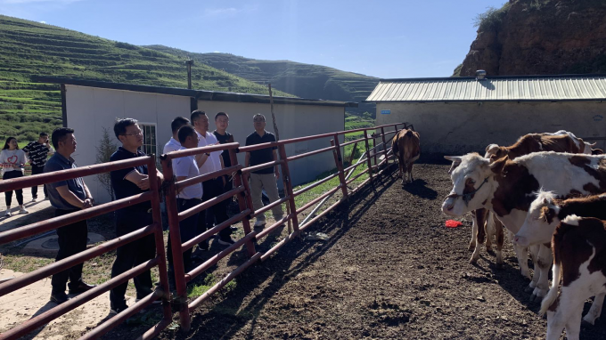 甘肅工程咨詢集團(tuán)黨委書記、董事長宋忠慶一行赴卓尼縣柳林鎮(zhèn)幫扶村調(diào)研慰問