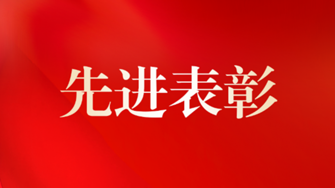 集團(tuán)公司機(jī)關(guān)黨委開展“兩優(yōu)一先”評(píng)選表彰